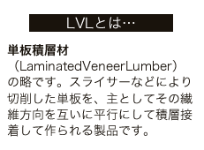 LVL文字